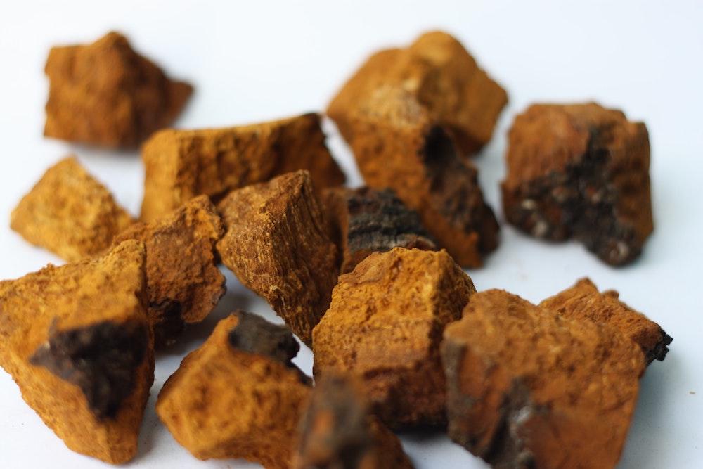 Little brown nuggets of chaga sit against a white background. 