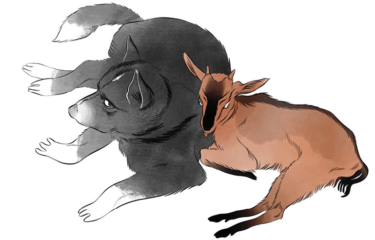 Goat and Dog