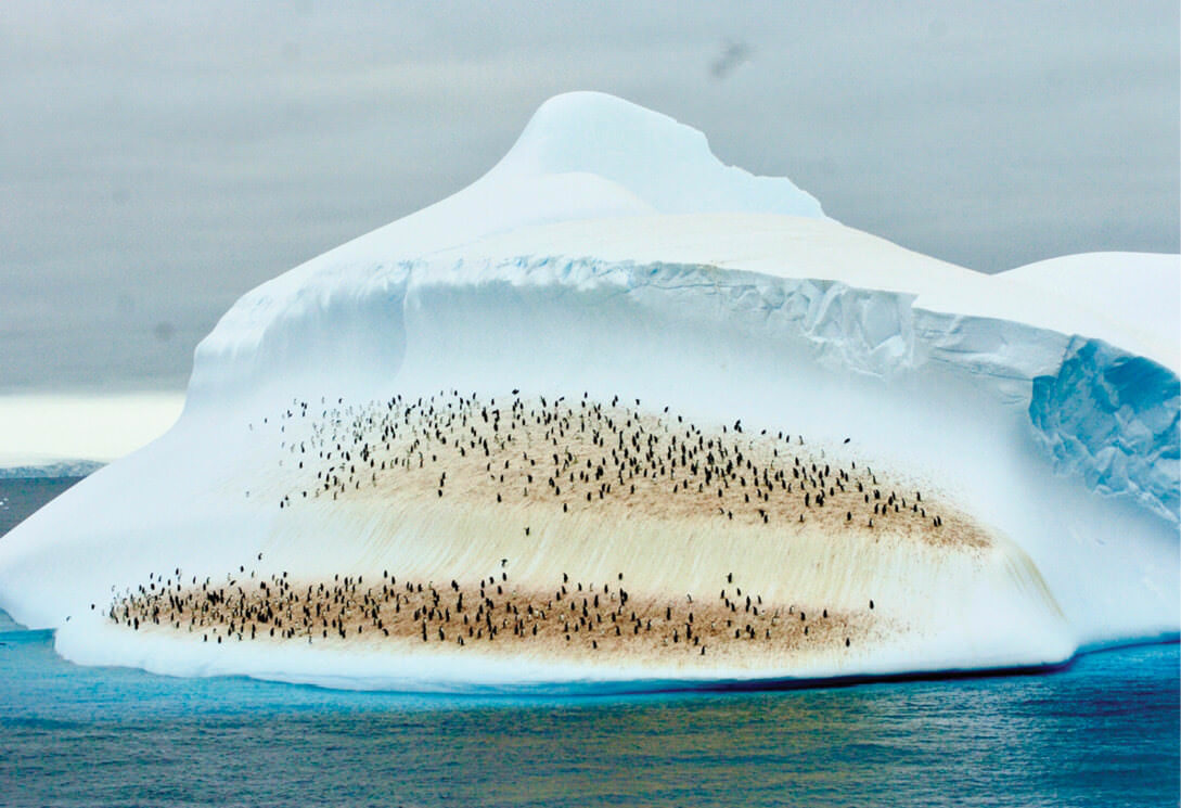 Iceberg with Penguins