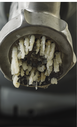 Fish in meat grinder.