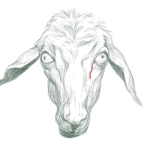 Drawing of goat head.