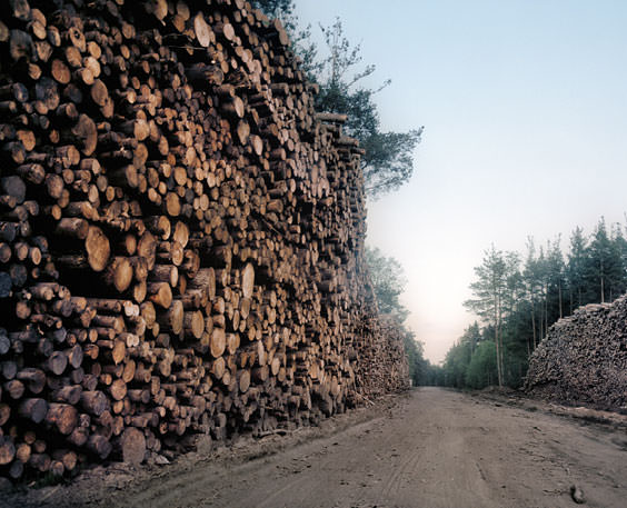 Timber stacked