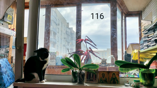 Image with number superimposed.