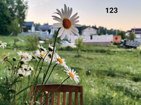 Image with number superimposed.