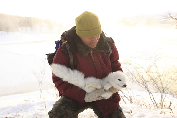 In Search of the Wild Wolf