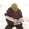 In Search of the Wild Wolf
