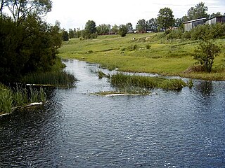 Paddleboarding Down to Russia