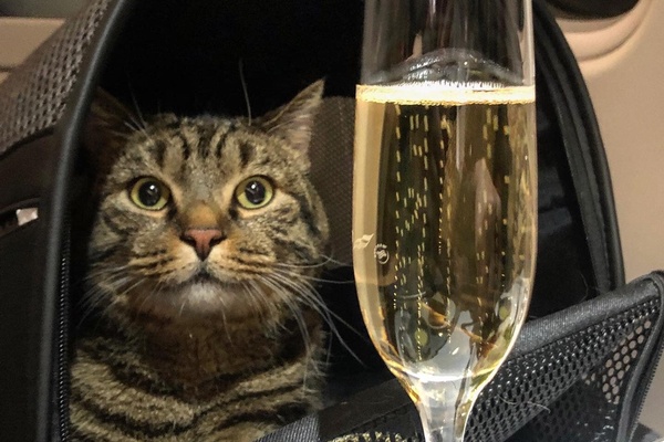 Baggage Bros, Covert Crimea, and Brezhnev's Crimes