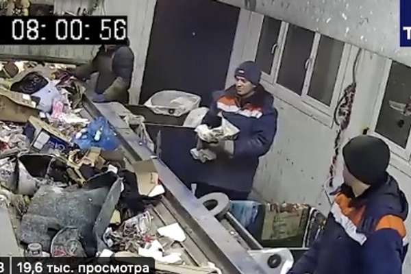 That's Mr. Cat to You