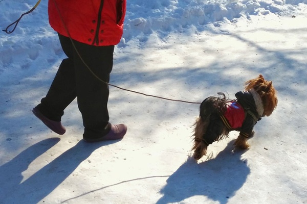 Hourly Taskmaster Rise