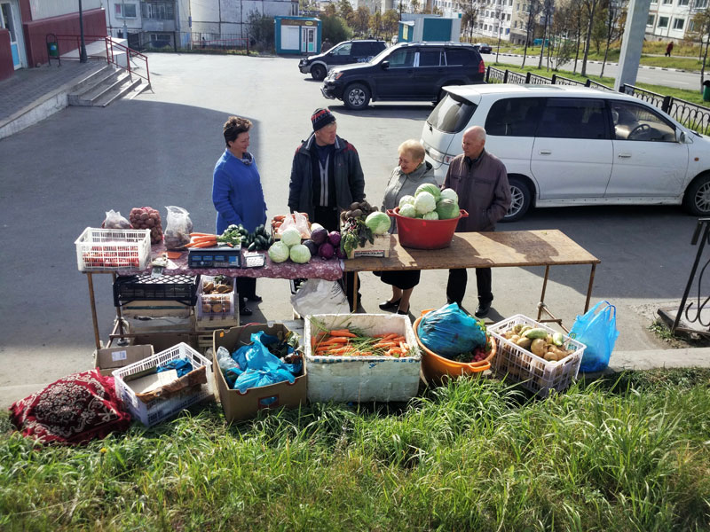 Farmer - Russian Life