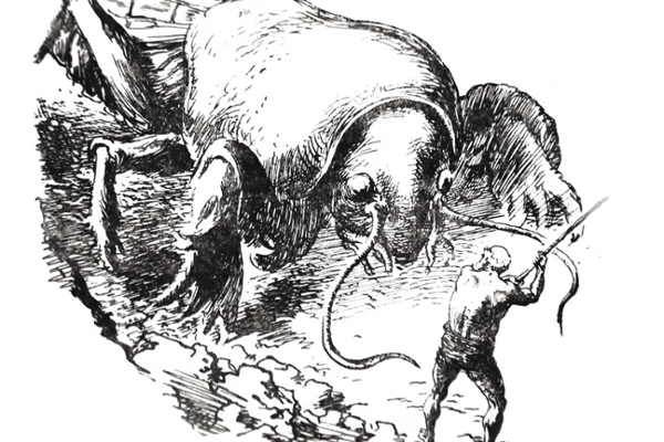 Exploring Early-Soviet-Era Insect Culture