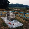 Petrovichi