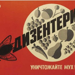 Dysentery ~ Kill flies!
