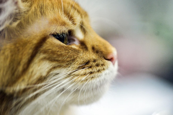 A new direction for US-Russia relations?