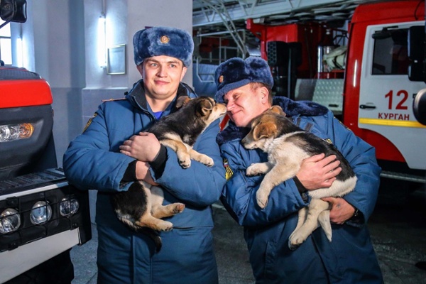 A Firefighter's Best Friend