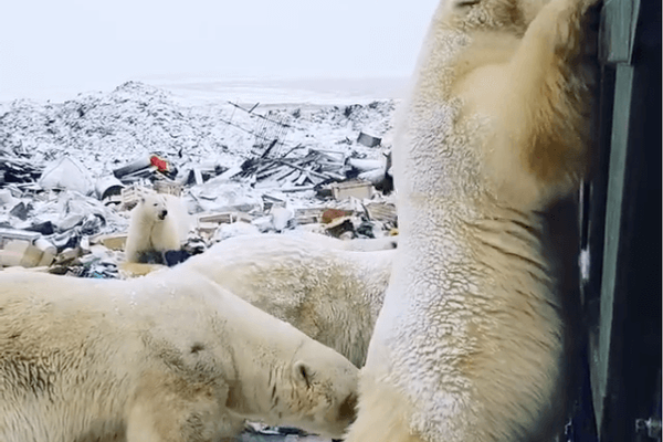 From Russia with Love