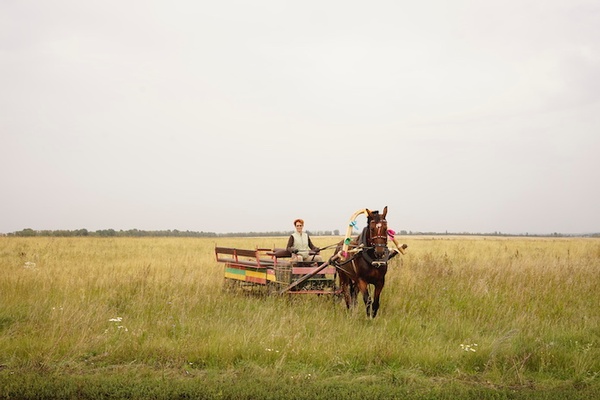 Planting the Fourteenth Century