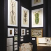 One corner of the exhibition