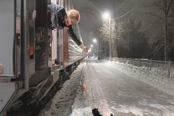 Cat's Got Your Train