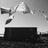 Flight