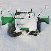 Snowdrop