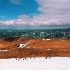 Hikers