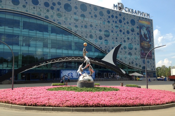 Moskvarium: Making a Splash at VDNKh