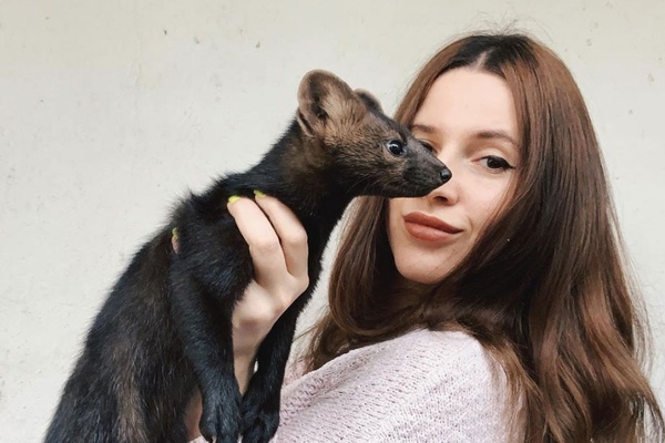 Most Popular Stories of 2020