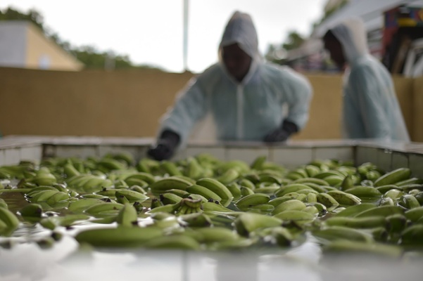 Russia Faces Banana Deficit