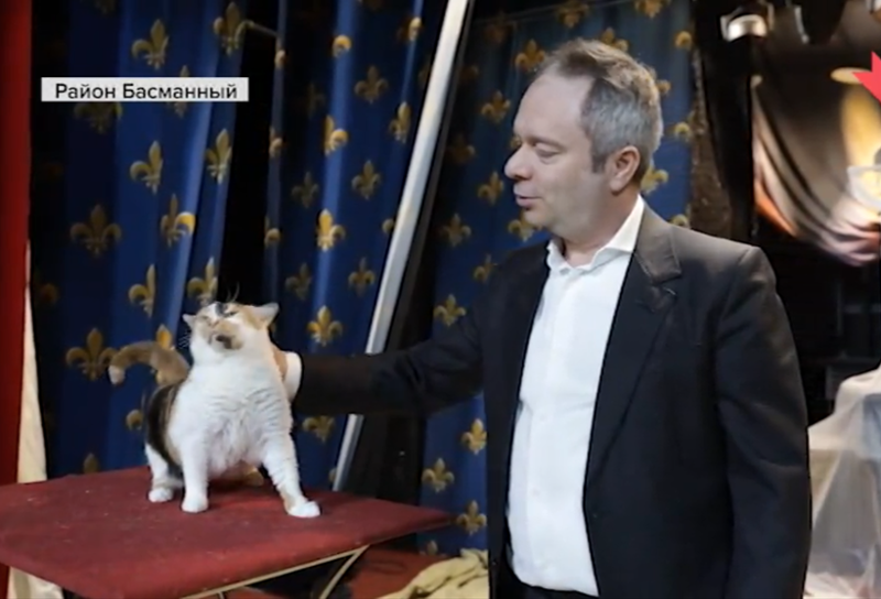 A Whisker Away from Victory