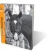 19: Horse Power