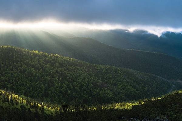 The Romance of the Earth