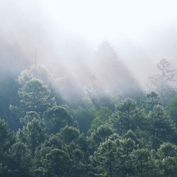 Foggy hills<br>