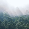 Foggy hills<br>