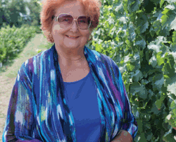 Great Terroir