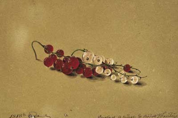 For the Love of Currants