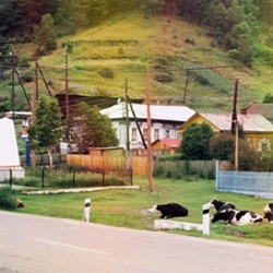 Listvyanka Cows and Memorial
