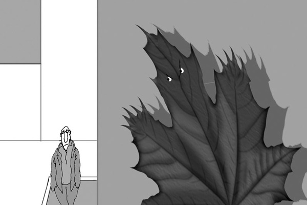 Climate Chaos and Fall Colors