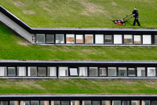 Baller Ballerinas, Flying Taxis, & Gardens in the Sky