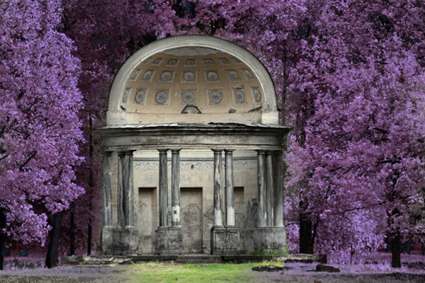 Spring Scene