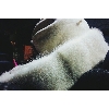 Fur