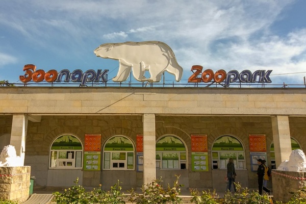 The Zoo Animals Who Outlasted the Hermitage Cats