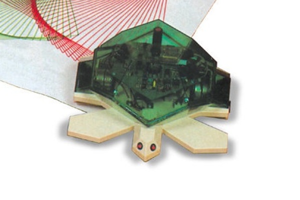 The Turtle and the Scare