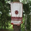 Tree hugging<br>