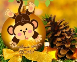 How to Celebrate the New Year