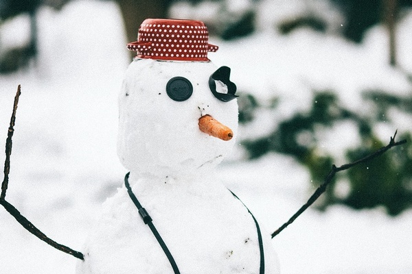 Not a Snowball's Chance in Arkhangelskaya Oblast