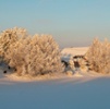 Virgin Arctic