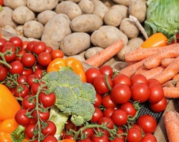 The Dangers of Vegetarianism