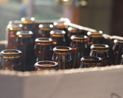 Beer, Balloons, and (GMO) Babies